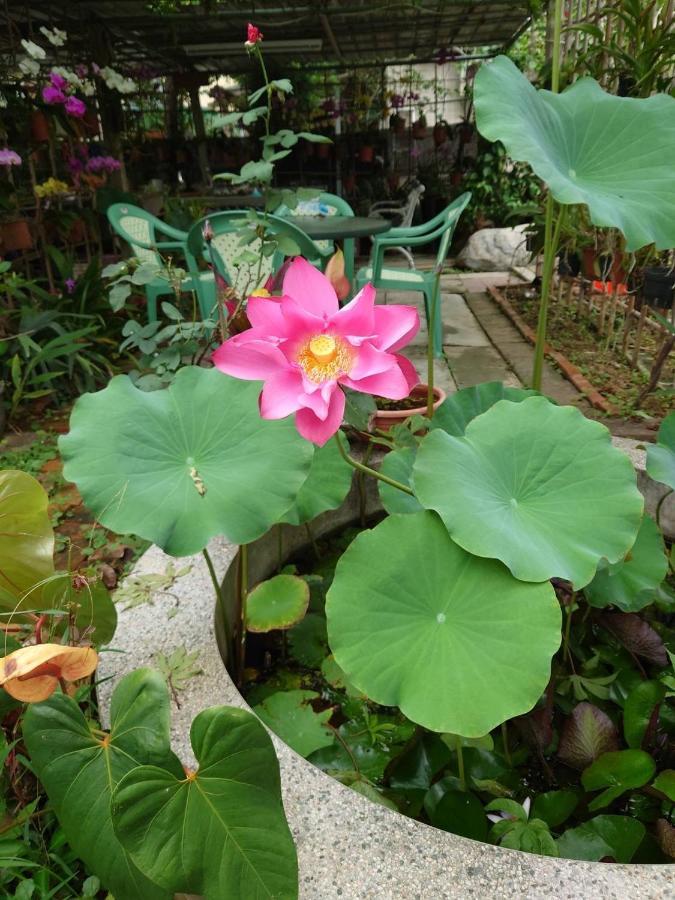 Garden Hostel Minxiong ภายนอก รูปภาพ