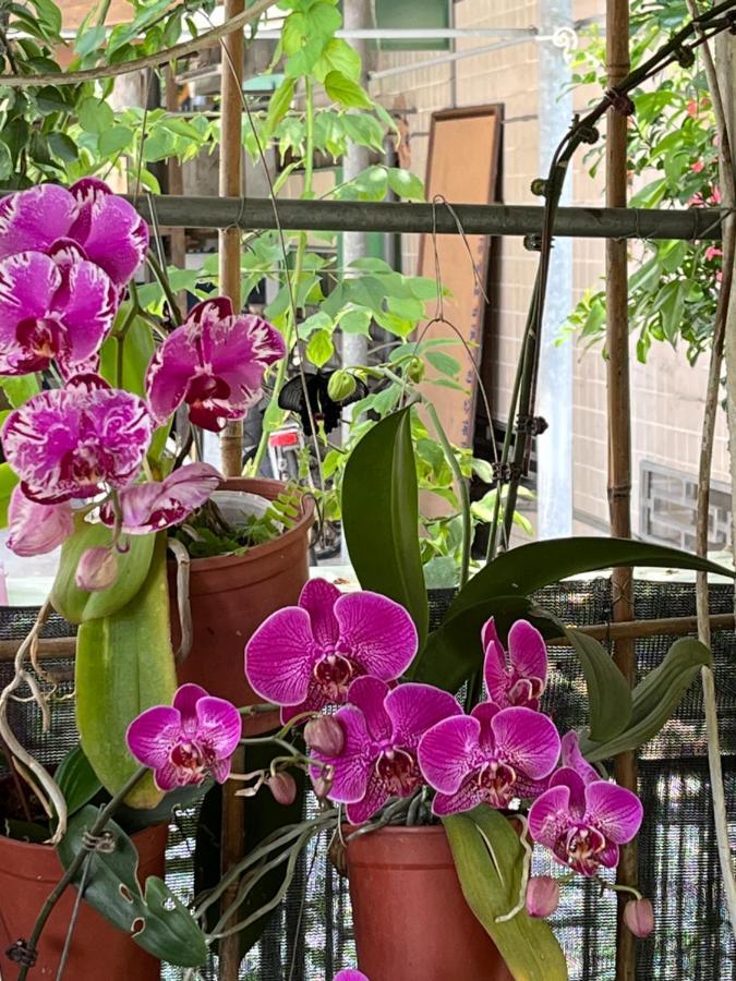 Garden Hostel Minxiong ภายนอก รูปภาพ