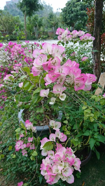 Garden Hostel Minxiong ภายนอก รูปภาพ