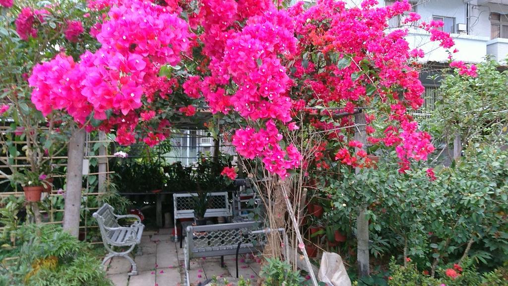 Garden Hostel Minxiong ภายนอก รูปภาพ