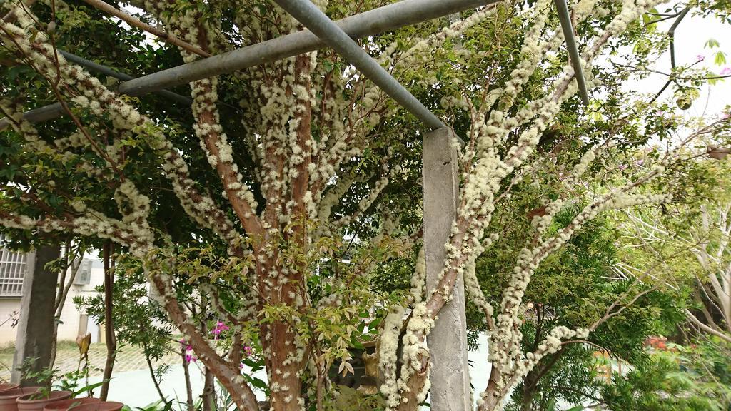 Garden Hostel Minxiong ภายนอก รูปภาพ