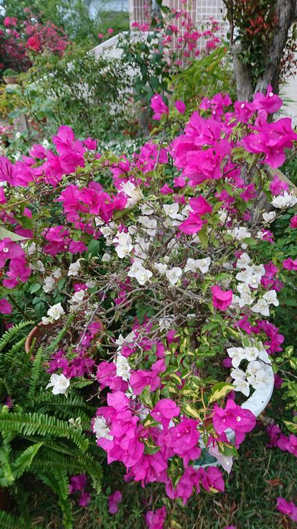 Garden Hostel Minxiong ภายนอก รูปภาพ