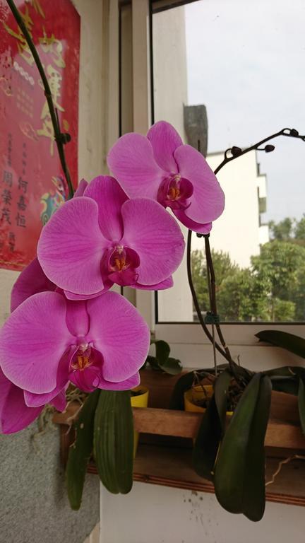 Garden Hostel Minxiong ภายนอก รูปภาพ