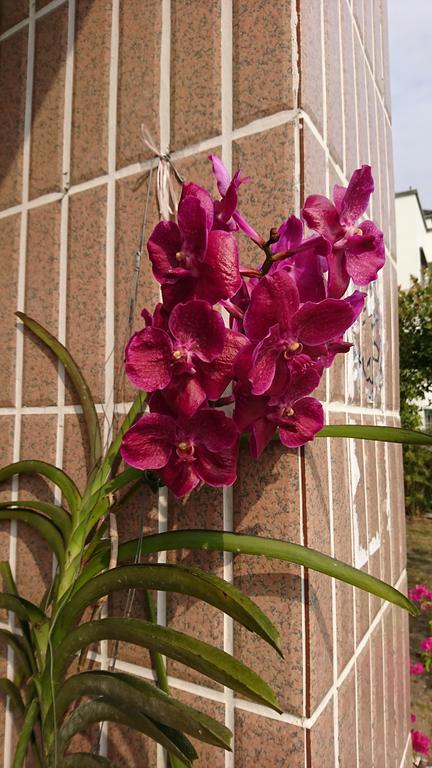 Garden Hostel Minxiong ภายนอก รูปภาพ
