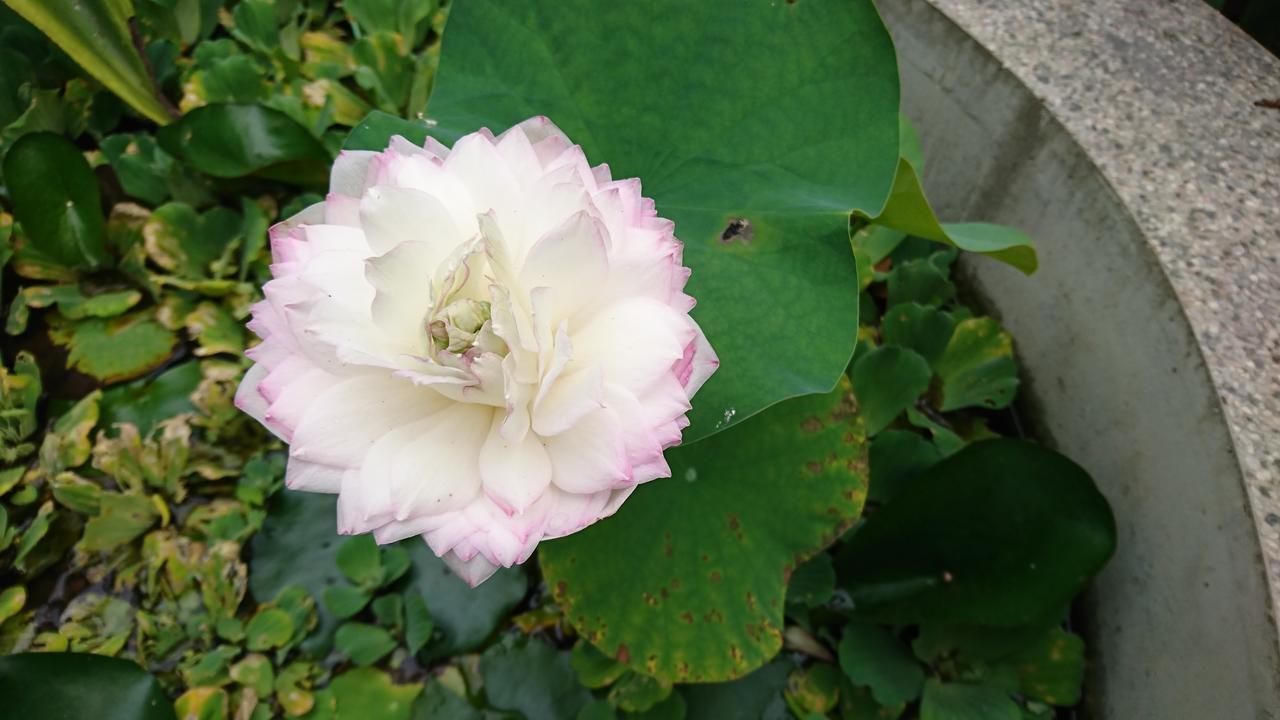 Garden Hostel Minxiong ภายนอก รูปภาพ